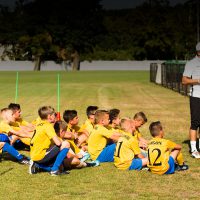 Trening-zory-2018-1